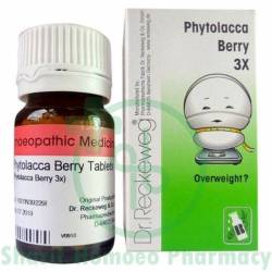 Dr. Reckeweg Phytolacca Berry 3X Tablet