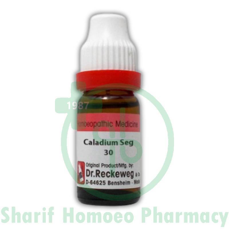 Dr. Reckeweg Caladium Seg 30 CH