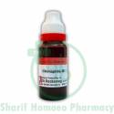 Dr. Reckeweg Chimaphila MT Q 20ML (Sealed)