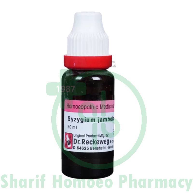 Dr. Reckeweg Syzygium Jamb MT Q 20ML (Sealed)