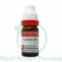 Dr. Reckeweg Cantharis 200C 11ml (Sealed)