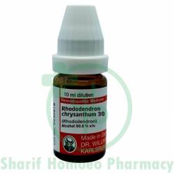 Dr. Willmar Schwabe Rhododendron 30 CH 10ml (Sealed)