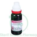 Dr. Reckeweg Caladium Seg Q 20ML (Sealed)