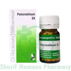 Dr. Reckeweg Pancreatinum 3X Tablet