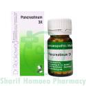 Dr. Reckeweg Pancreatinum 3X Tablet