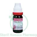 Dr. Reckeweg Bryonia Alb 200 CH 11ml (Sealed)