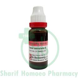 Dr. Reckeweg Sabal Serr MT Q 20ML (Sealed)
