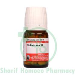 Dr. Willmar Schwabe Cholesterinum 3X