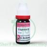 Dr. Reckeweg Graphites Dilution 30 CH (Sealed)