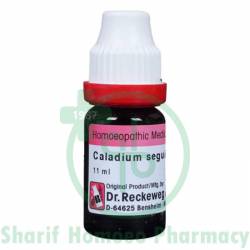 Dr. Reckeweg Caladium Seg 200 CH 11ml (Sealed)
