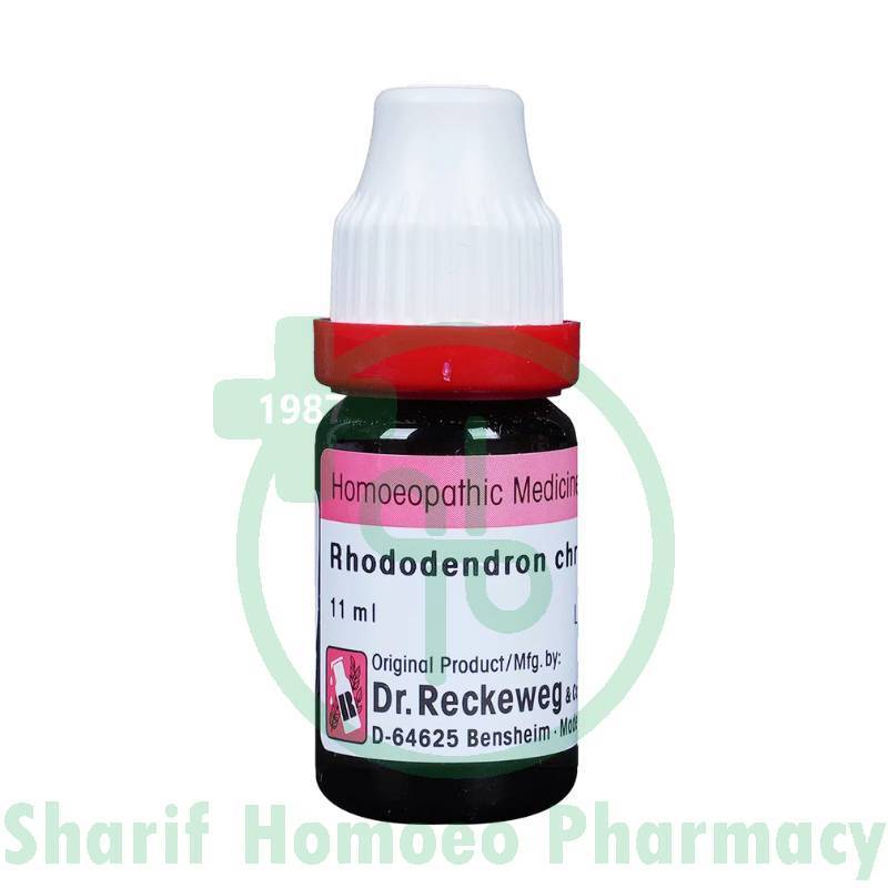 Dr. Reckeweg Rhododendron 30 CH (Sealed)