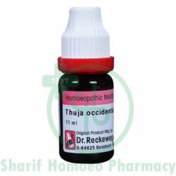 Dr. Reckeweg Thuja Occ 200 CH 11ml (Sealed)