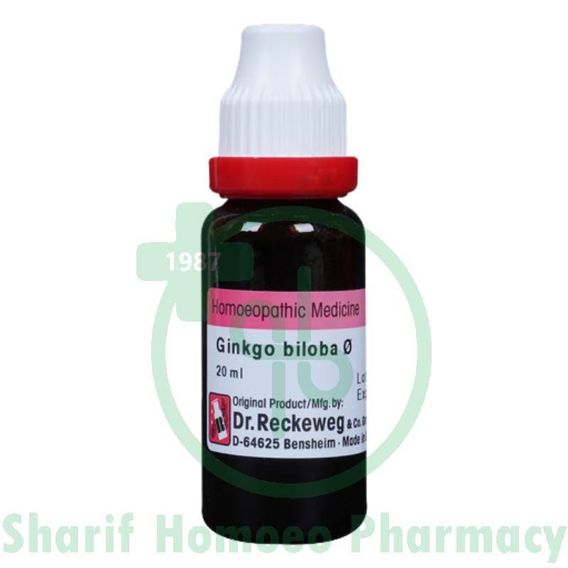 Dr. Reckeweg Ginkgo Biloba Q 20ML (Sealed)