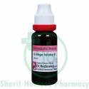 Dr. Reckeweg Ginkgo Biloba Q 20ML (Sealed)