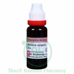 Dr. Reckeweg Berberis Vul MT Q 20ML (Sealed)