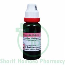 Dr. Reckeweg Ceanothus A MT Q 20ML (Sealed)