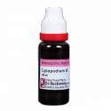 Dr. Reckeweg Lycopodium MT Q 20ML (Sealed)