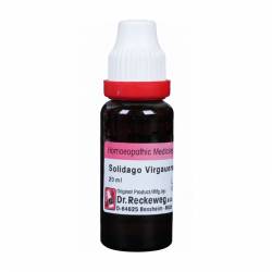 Dr. Reckeweg Solidago Vir Q 20ML (Sealed)