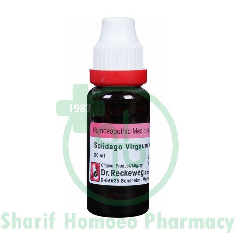 Dr. Reckeweg Solidago Vir Q 20ML (Sealed)