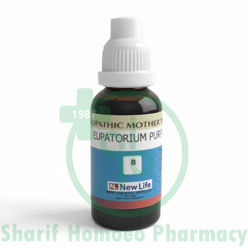 NL Eupatorium Purp Q (30ML)
