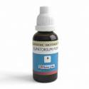 NL Eupatorium Purp Q (30ML)