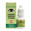 Cineraria Maritima Schwabe (Eye Drops)