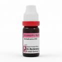 Dr. Reckeweg Belladonna 200C 11ml (Sealed)