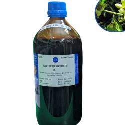 St. George's Guatteria gaumeri Q MT (Regular)