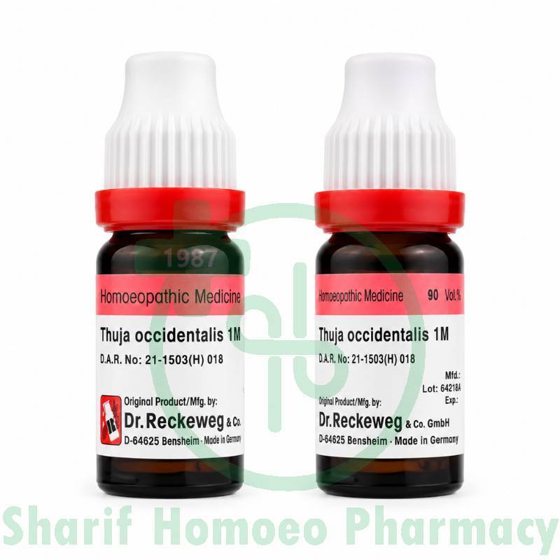 Dr. Reckeweg Thuja Occ 1M 11ml (Sealed)