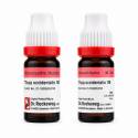 Dr. Reckeweg Thuja Occ 1M 11ml (Sealed)