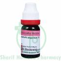 Dr. Reckeweg Caladium Seg 1M 11ml (Sealed)