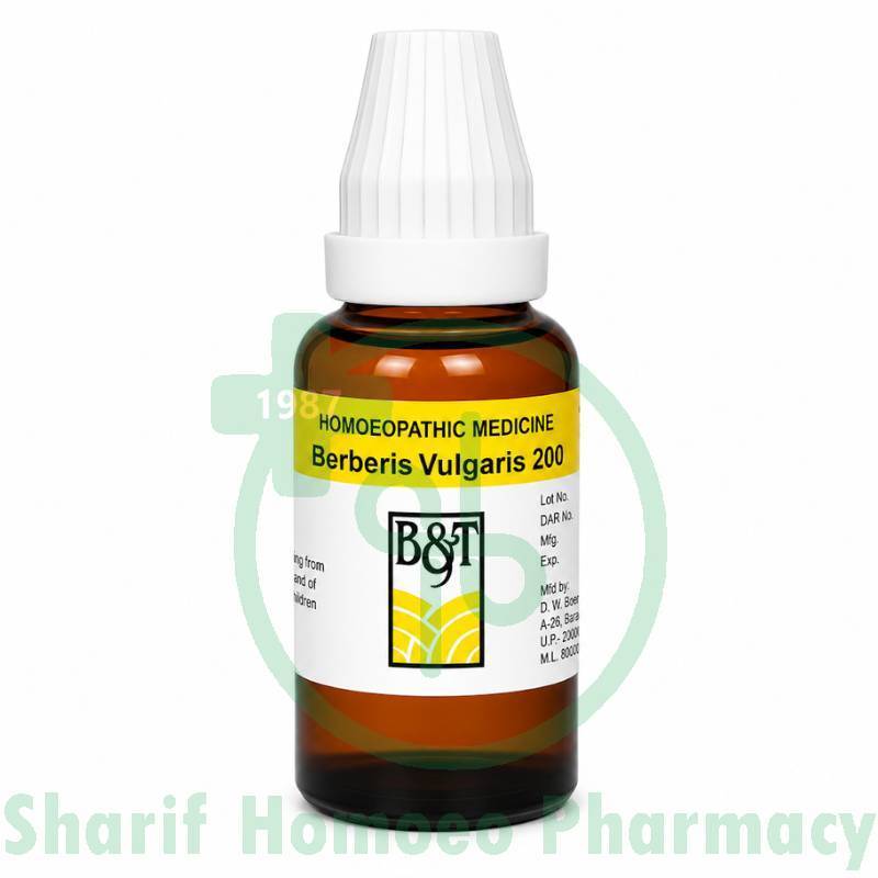 B&T Berberis Vulgaris 200 (30ml)