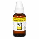 B&T Berberis Vulgaris 200 (30ml)