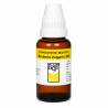 B&T Berberis Vulgaris 200 (30ml)