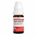 Dr. Willmar Schwabe Agnus Cast 200 10ml (Sealed)
