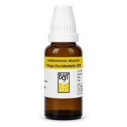 B&T Thuja Occidentalis 200 (30ml)