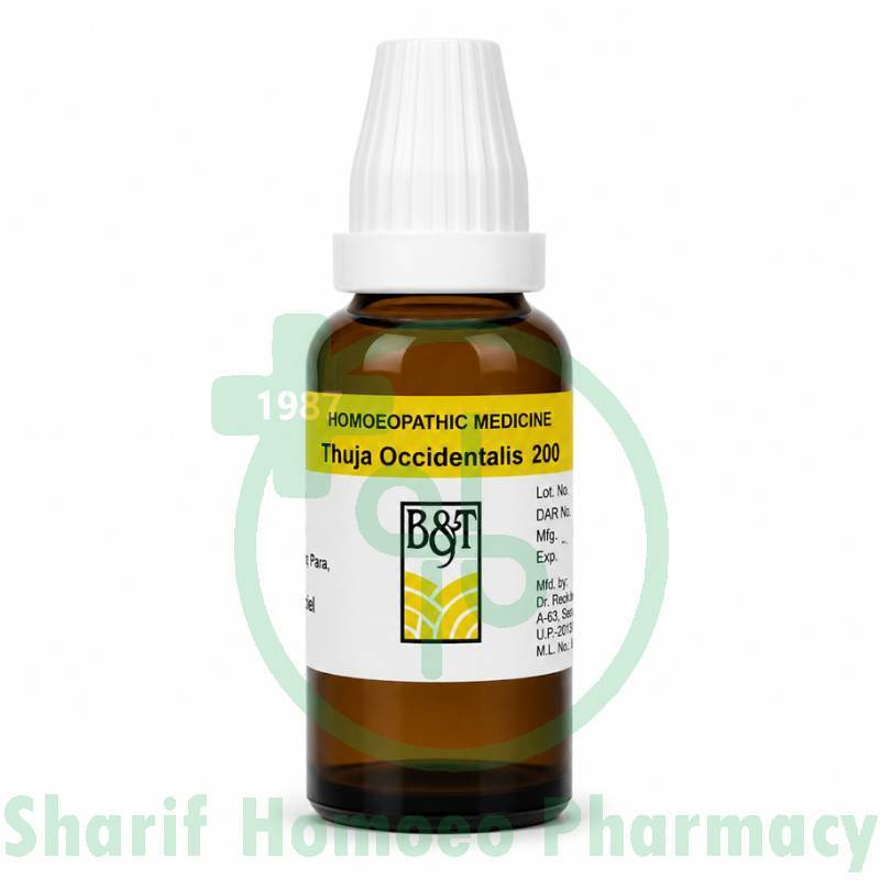 B&T Thuja Occidentalis 200 (30ml)