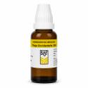 B&T Thuja Occidentalis 200 (30ml)