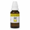 B&T Carbo Vegetabilis 200 (30ml)