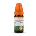 St. George's Aesculus Hippocastanum 200CH (10ml)