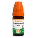 St. George's Pulsatilla Nigricans 30CH (10ml)