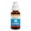 NL Tribulus T Q (30ML)