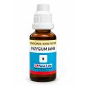 NL Syzygium Jamb Q (30ML)