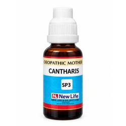 NL Cantharis Q (30ML)