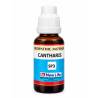 NL Cantharis Q (30ML)