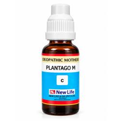 NL Plantago M Q (30ML)