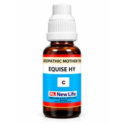 NL Equise Hy Q (30ML)