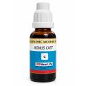 NL Agnus Cast Q (30ML)