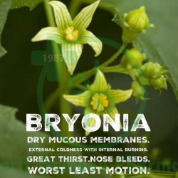 Bryonia Alba Q