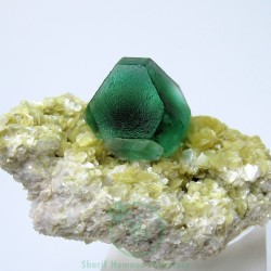 CALCAREA FLUOR